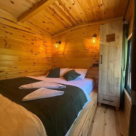 호텔 Elfida Tinyhouse Çamlıhemşin