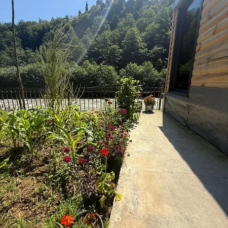 호텔 Elfida Tinyhouse *