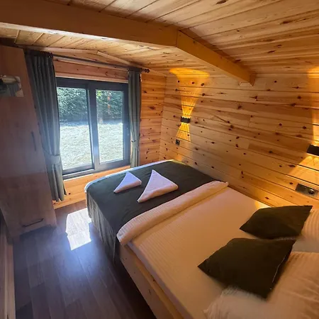 Elfida Tinyhouse 호텔 Çamlıhemşin